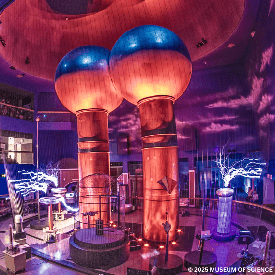 Museum of Science (1)