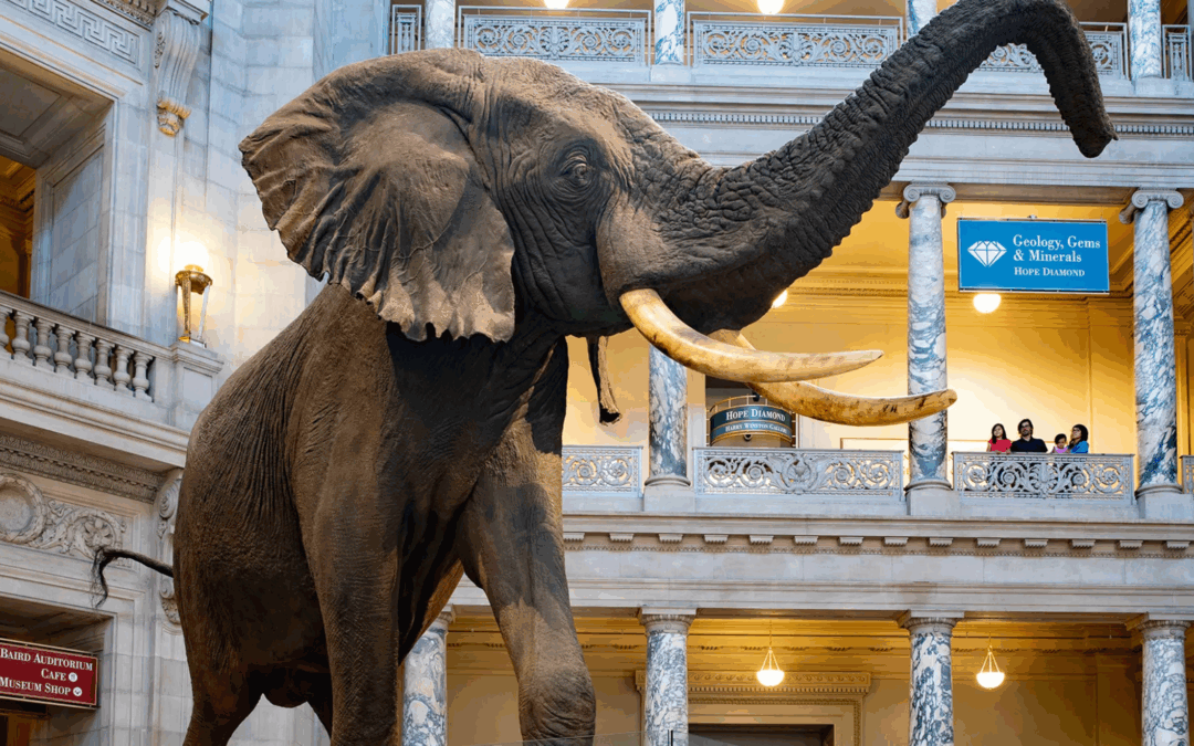 Must-Visit Museums for Student Class Trips to Washington, D.C.