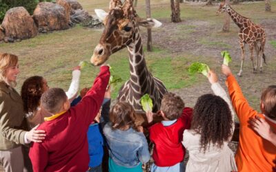 Why Experiential Learning Matters for Today’s Students